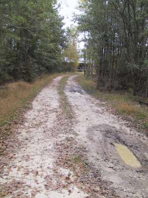 down the driveway a bit