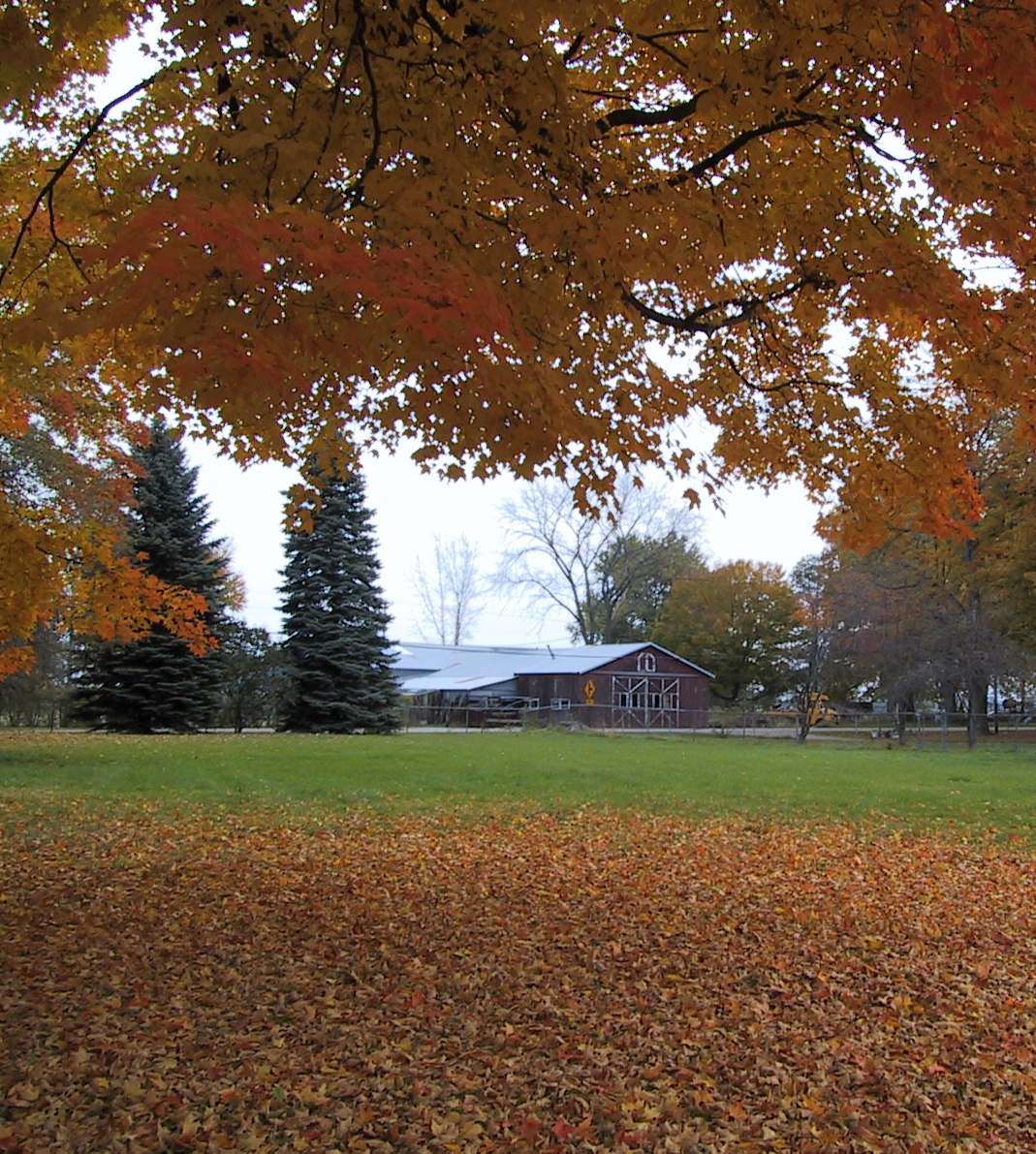 fall in hodunk