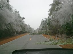 Georgia Ice Storm 2011