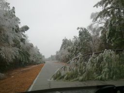 Georgia Ice Storm 2011