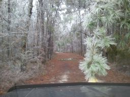 Georgia Ice Storm 2011