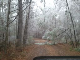 Georgia Ice Storm 2011