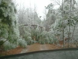 Georgia Ice Storm 2011