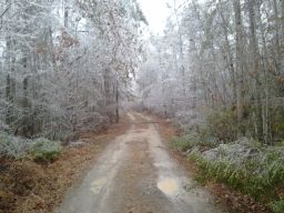 Georgia Ice Storm 2011
