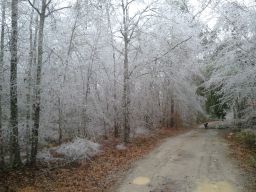 Georgia Ice Storm 2011
