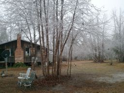 Georgia Ice Storm 2011