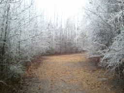 Georgia Ice Storm 2011