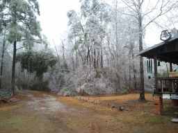 Georgia Ice Storm 2011