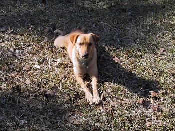 Lulu Belle 4/2001