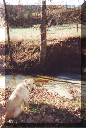 out in the country.